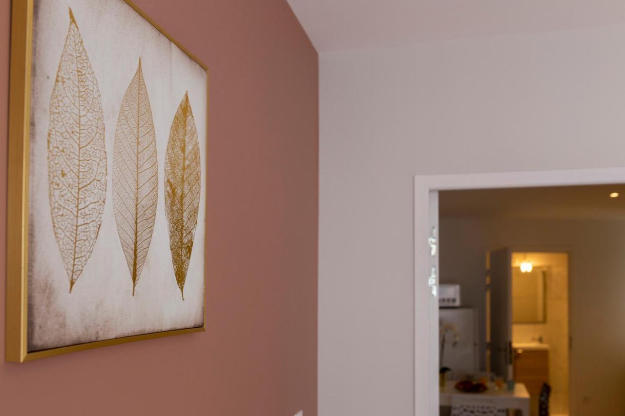 Apartamento LOC TROTTEUR LE FLEUR DES CHAMPS F2 cosy, gare SNCF de Lourdes Exterior foto